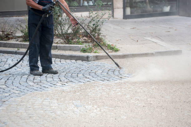 Best Gutter Cleaning  in New Market, VA